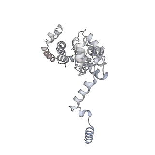 4322_6fvw_T_v1-1
26S proteasome, s4 state