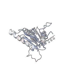 4322_6fvw_d_v1-1
26S proteasome, s4 state