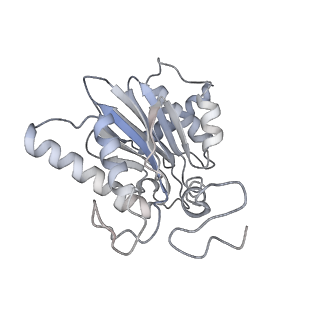 4322_6fvw_e_v1-1
26S proteasome, s4 state