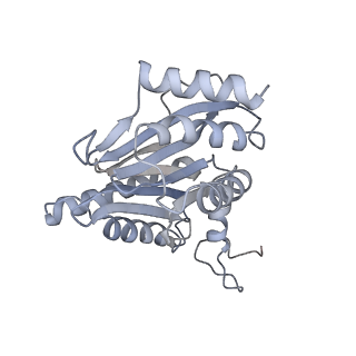 4322_6fvw_g_v1-1
26S proteasome, s4 state