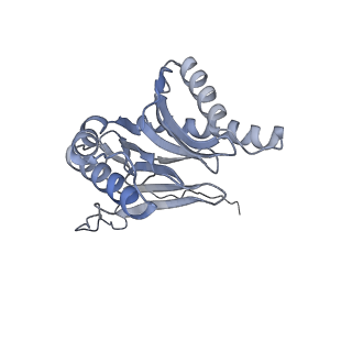 4322_6fvw_i_v1-1
26S proteasome, s4 state