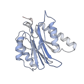 4322_6fvw_j_v1-1
26S proteasome, s4 state