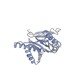4323_6fvx_2_v1-1
26S proteasome, s5 state