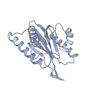 4323_6fvx_4_v1-1
26S proteasome, s5 state