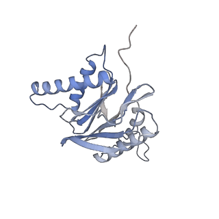 4323_6fvx_6_v1-1
26S proteasome, s5 state