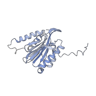 4323_6fvx_7_v1-1
26S proteasome, s5 state