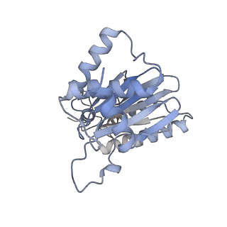 4323_6fvx_A_v1-1
26S proteasome, s5 state
