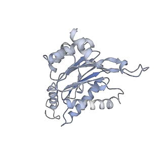 4323_6fvx_B_v1-1
26S proteasome, s5 state