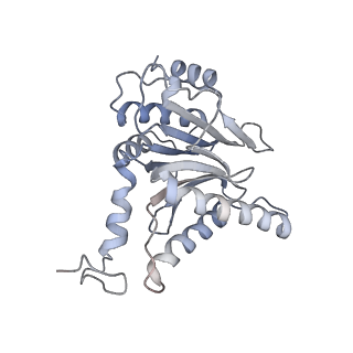 4323_6fvx_C_v1-1
26S proteasome, s5 state