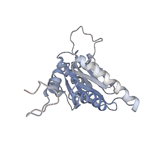 4323_6fvx_D_v1-1
26S proteasome, s5 state