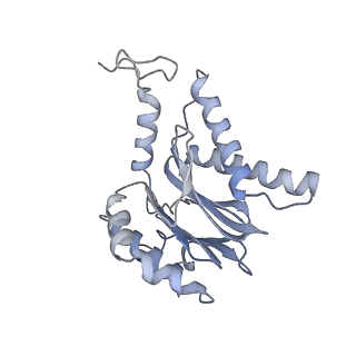 4323_6fvx_F_v1-1
26S proteasome, s5 state