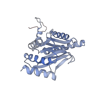 4323_6fvx_G_v1-1
26S proteasome, s5 state