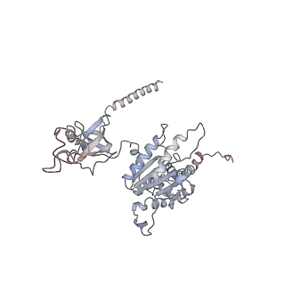 4323_6fvx_H_v1-1
26S proteasome, s5 state