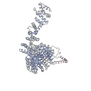 4323_6fvx_N_v1-1
26S proteasome, s5 state