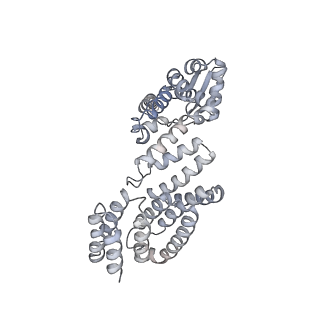 4323_6fvx_O_v1-1
26S proteasome, s5 state