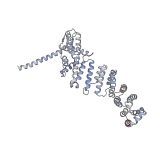 4323_6fvx_P_v1-1
26S proteasome, s5 state