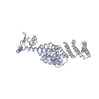 4323_6fvx_Q_v1-1
26S proteasome, s5 state