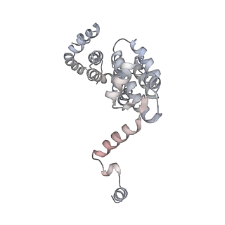 4323_6fvx_T_v1-1
26S proteasome, s5 state