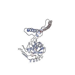 4323_6fvx_U_v1-1
26S proteasome, s5 state