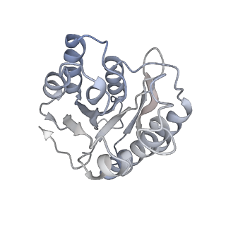 4323_6fvx_W_v1-1
26S proteasome, s5 state