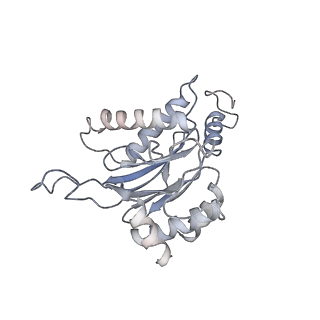 4323_6fvx_b_v1-1
26S proteasome, s5 state