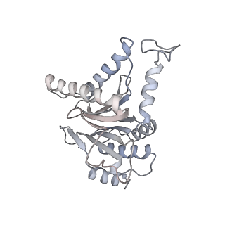4323_6fvx_c_v1-1
26S proteasome, s5 state
