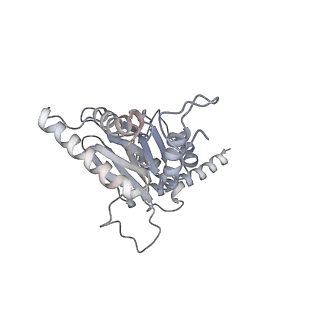 4323_6fvx_d_v1-1
26S proteasome, s5 state