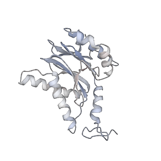 4323_6fvx_f_v1-1
26S proteasome, s5 state