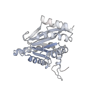 4323_6fvx_g_v1-1
26S proteasome, s5 state