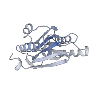 4323_6fvx_h_v1-1
26S proteasome, s5 state