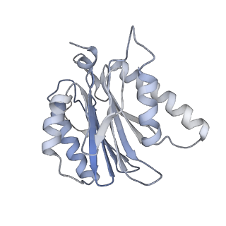 4323_6fvx_j_v1-1
26S proteasome, s5 state