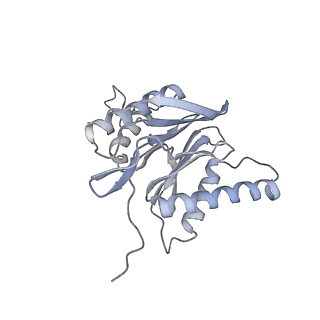 4323_6fvx_m_v1-1
26S proteasome, s5 state