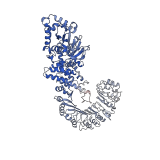 29496_8fw2_A_v1-3
Cryo-EM structure of full-length human NLRC4 inflammasome with C11 symmetry