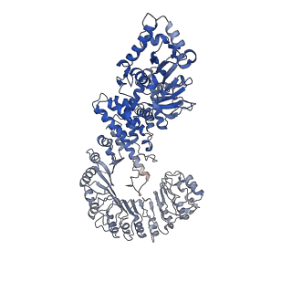 29496_8fw2_B_v1-3
Cryo-EM structure of full-length human NLRC4 inflammasome with C11 symmetry