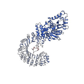 29496_8fw2_C_v1-3
Cryo-EM structure of full-length human NLRC4 inflammasome with C11 symmetry