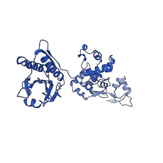 29497_8fw5_B_v1-1
Chimeric HsGATOR1-SpGtr-SpLam complex