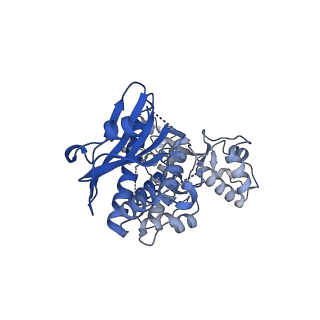 29497_8fw5_C_v1-1
Chimeric HsGATOR1-SpGtr-SpLam complex