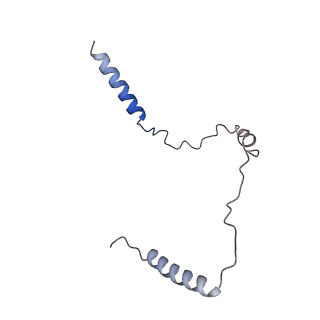 29497_8fw5_F_v1-1
Chimeric HsGATOR1-SpGtr-SpLam complex
