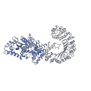 29498_8fw9_A_v1-3
Cryo-EM structure of full-length human NLRC4 inflammasome with C12 symmetry