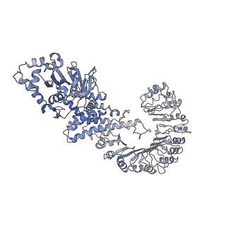 29498_8fw9_B_v1-3
Cryo-EM structure of full-length human NLRC4 inflammasome with C12 symmetry