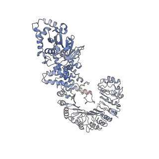 29498_8fw9_C_v1-3
Cryo-EM structure of full-length human NLRC4 inflammasome with C12 symmetry