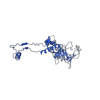 29500_8fwb_c_v1-0
Portal assembly of Agrobacterium phage Milano