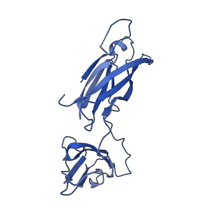 29501_8fwc_0E_v1-0
Collar sheath structure of Agrobacterium phage Milano