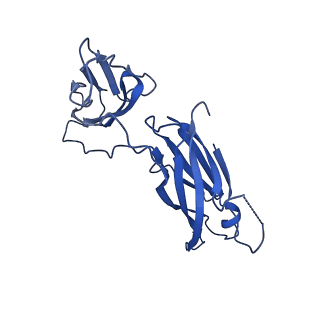 29501_8fwc_0_v1-0
Collar sheath structure of Agrobacterium phage Milano