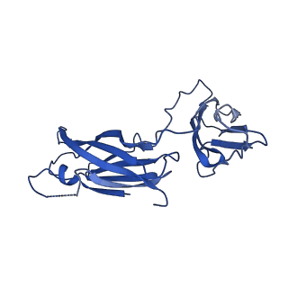 29501_8fwc_5_v1-0
Collar sheath structure of Agrobacterium phage Milano