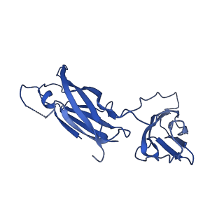 29501_8fwc_J_v1-0
Collar sheath structure of Agrobacterium phage Milano
