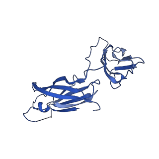 29501_8fwc_L_v1-0
Collar sheath structure of Agrobacterium phage Milano