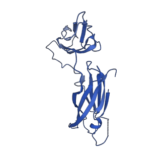29501_8fwc_O_v1-0
Collar sheath structure of Agrobacterium phage Milano