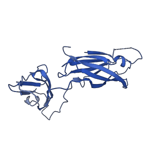 29501_8fwc_S_v1-0
Collar sheath structure of Agrobacterium phage Milano