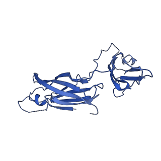 29501_8fwc_a_v1-0
Collar sheath structure of Agrobacterium phage Milano
